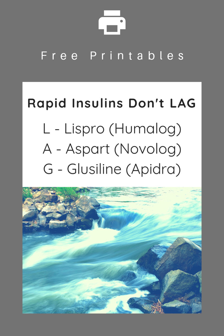 Insulin Nursing Study Guide
