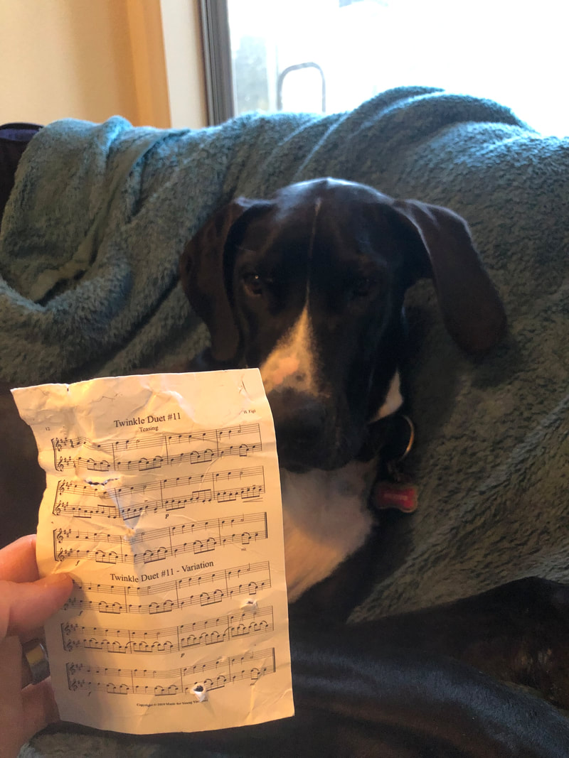 Puppy and mini-music after investigating with mouth. 